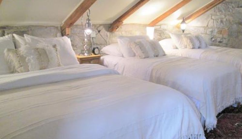 Kamer - All Suites Whitney Manor