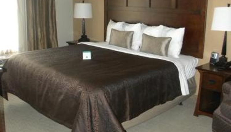 Bilgi - Teddy's Residential Suites Watford City