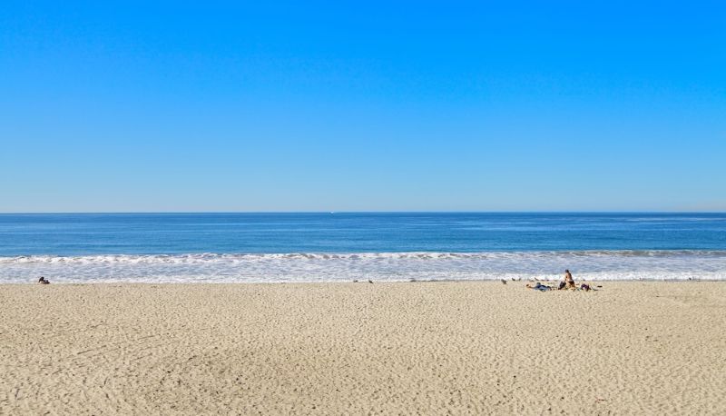 Info - Ocean Palms Beach Resort