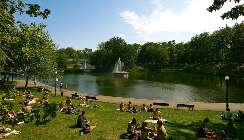 Información - MTLVacationRentals - Apt Mont-Royal