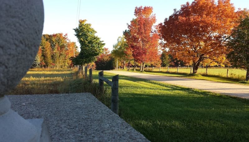 Garten - Sequel inn Creemore