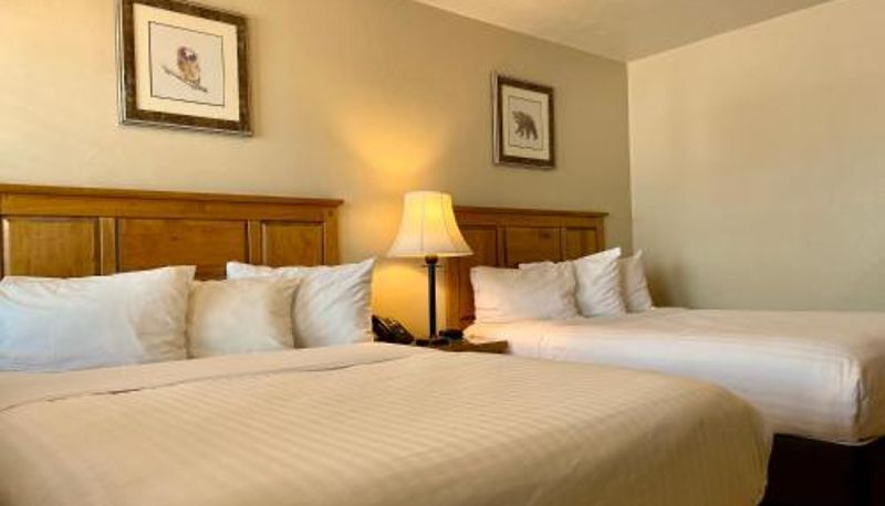 Quarto - Arizona Sunset Inn & Suites