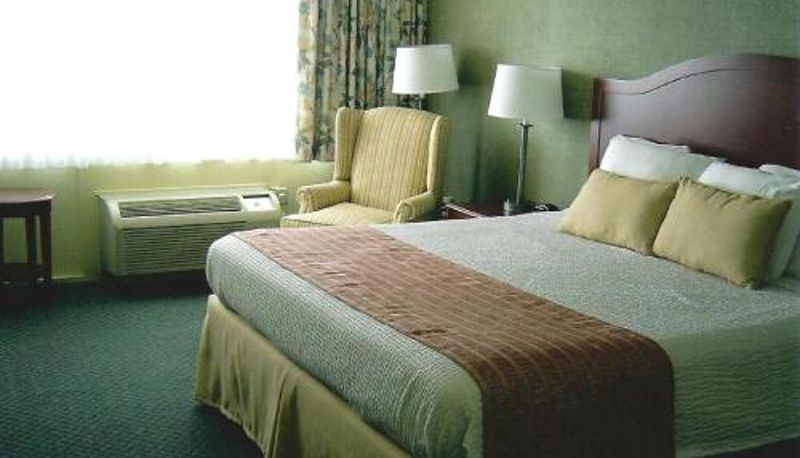 Habitación - Pier 4 Hotel