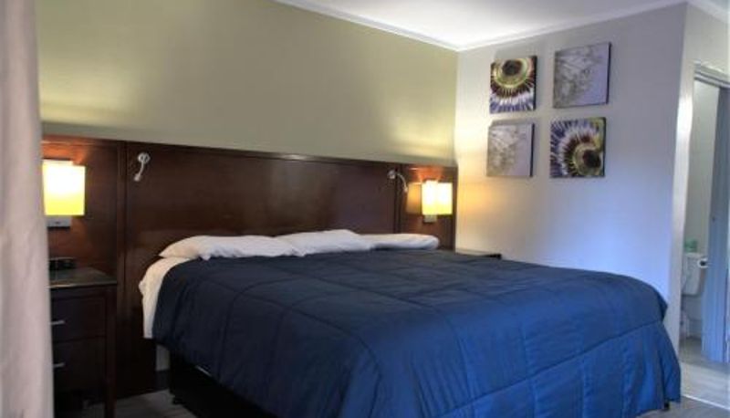 Bilgi - Eastern Shore Motel