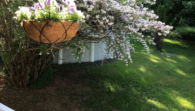 Giardino - Antique Rose Inn Windham