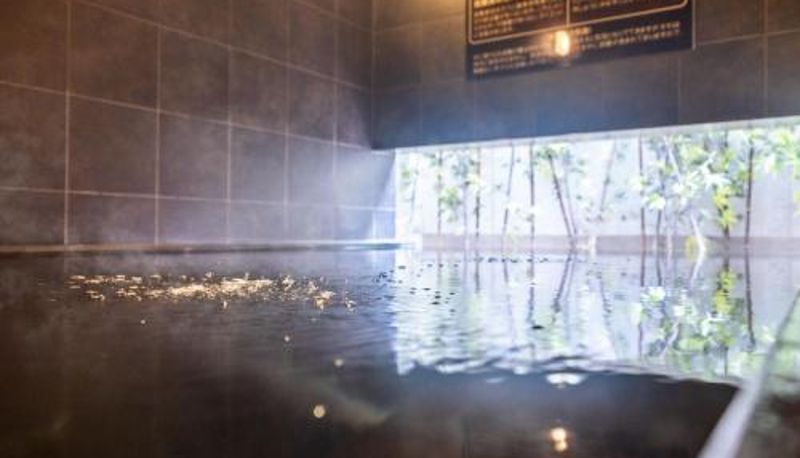 Info - Super Hotel Shinagawa Shinbanba