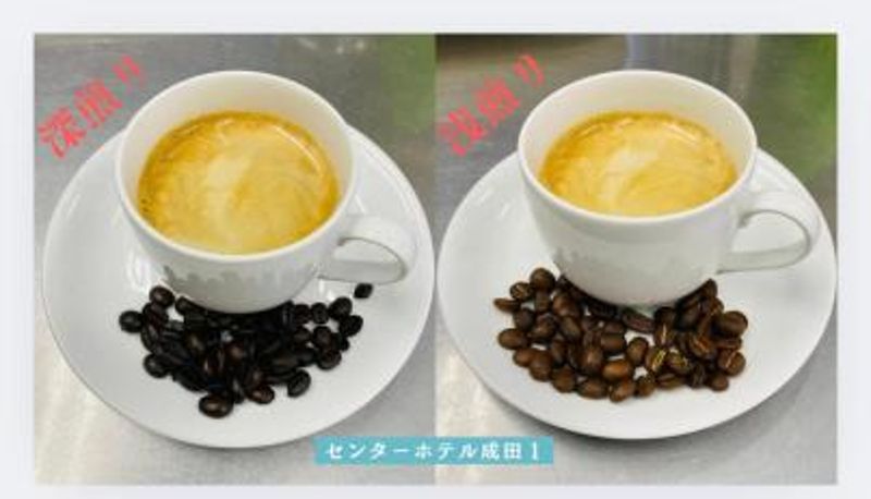 Info - Center Hotel Narita1