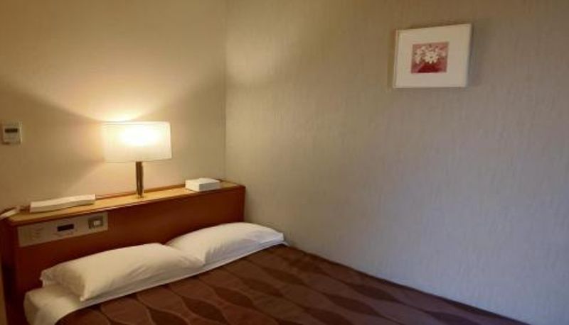 Camera - Center Hotel Narita1
