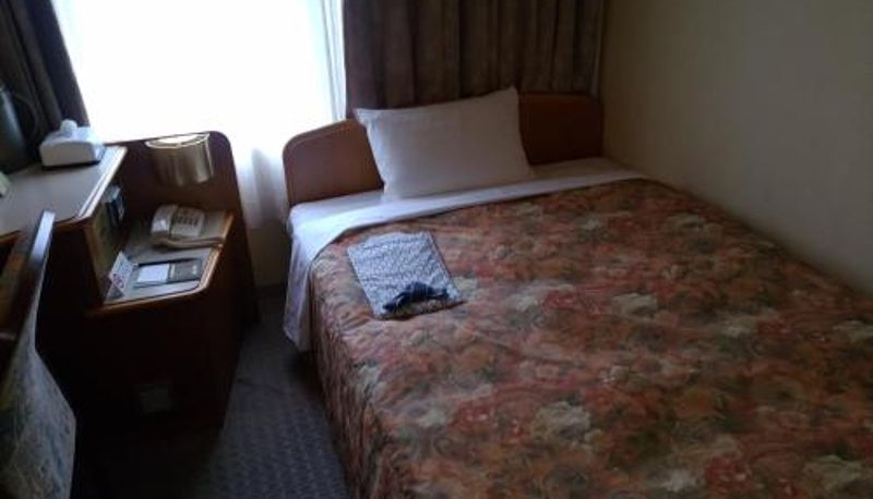 Camera - Hotel New Green Kashiwazaki