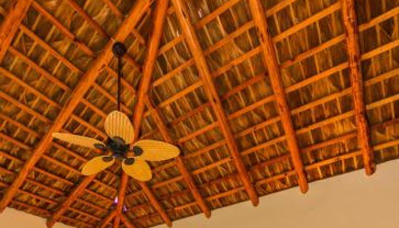 Info - Tripui Hotel