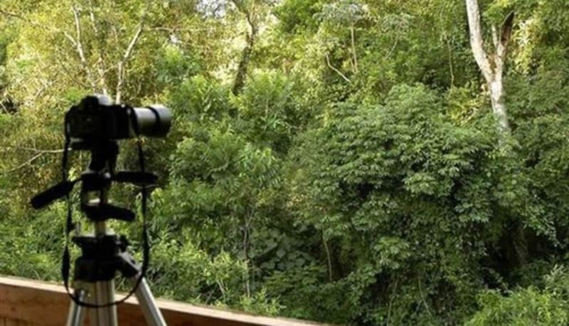 Info - La Aldea de la Selva Lodge