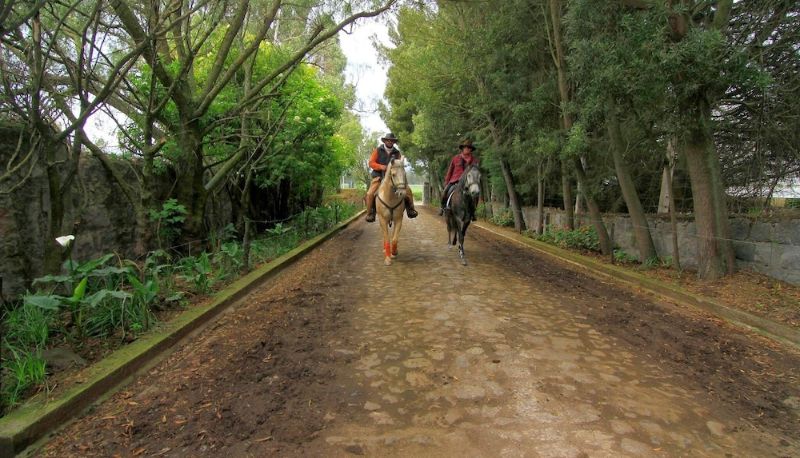 Jardin - Hacienda Hato Verde