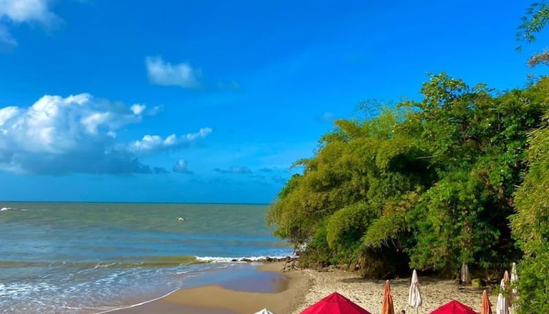 Info - Beach Hotel Jacumã