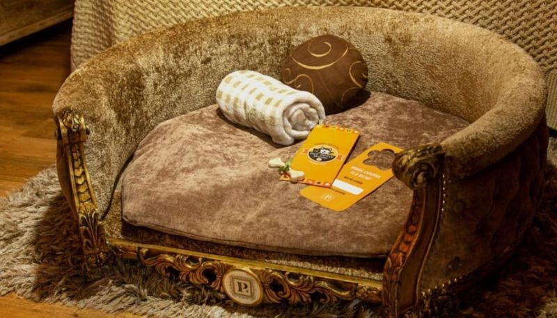 Bilgi - Hotel Petit Casa da Montanha