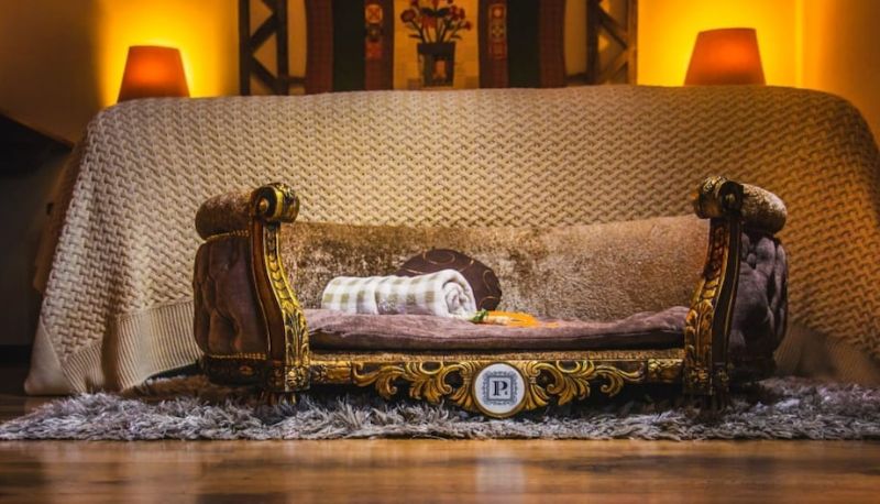 Bilgi - Hotel Petit Casa da Montanha