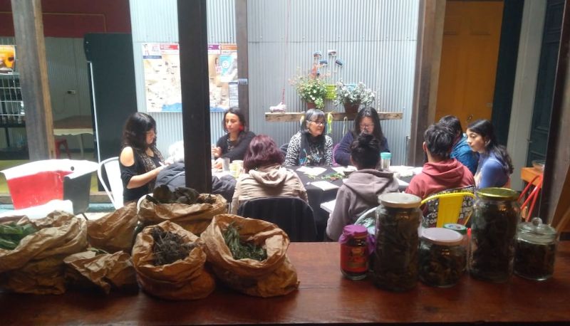 Teras - Maki Hostel Valparaiso