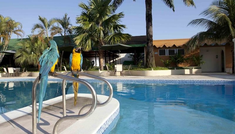 Pool - Hotel Anaconda