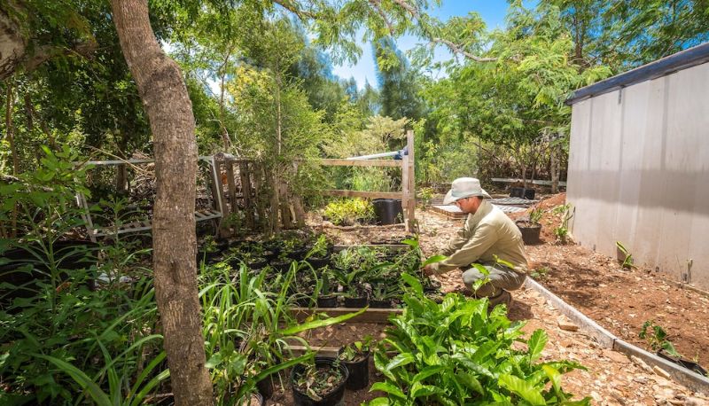 Garden - One On Marlin – Adults Only