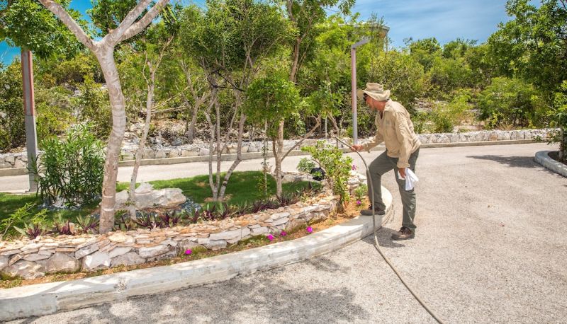 Garden - One On Marlin – Adults Only