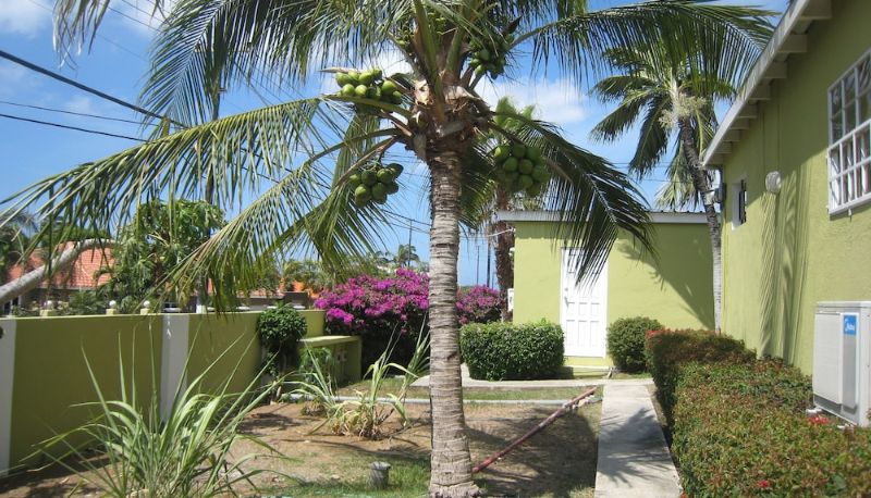Garten - Residents Inn Alablanca Apartments