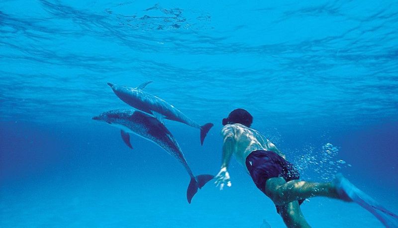 Area benessere - Bimini Big Game Resort