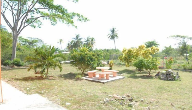 Garten - J&G's Tropical Apartments