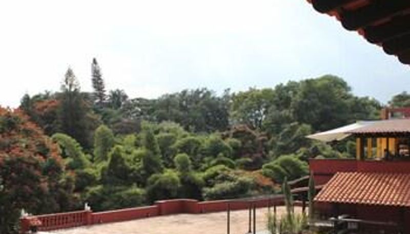 Buitenruimte van het hotel - Hotel Terraza Tamayo Toscana