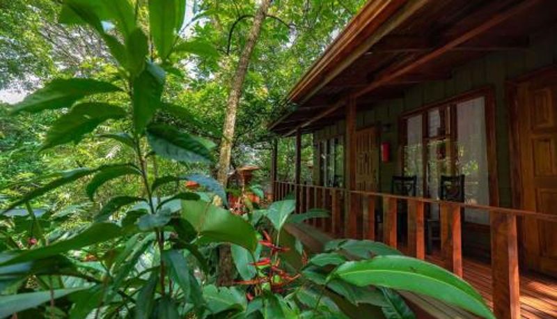 Informacje - Jaguarundi Jungle Lodge