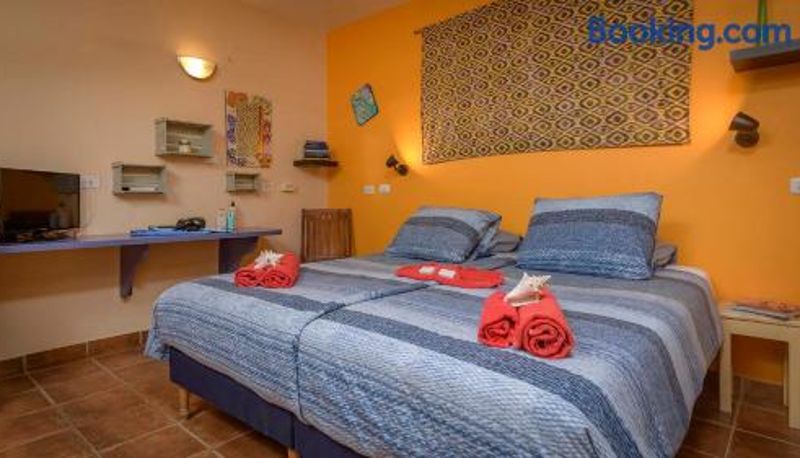 Appartement - Djambo