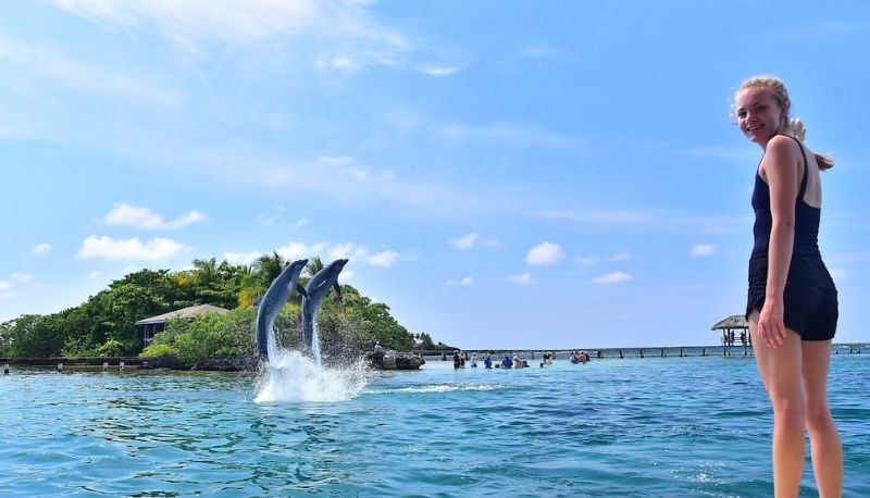 インフォメーションセンター - Cocolobo Resort