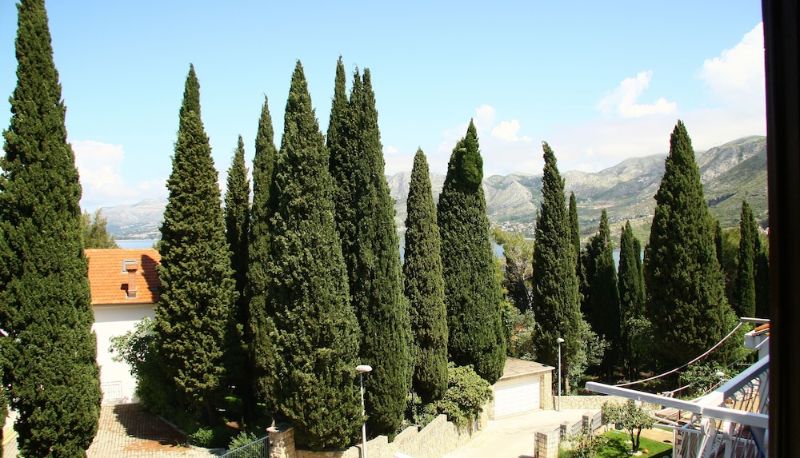 Info - Villa Anka
