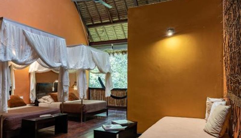 Suite - Tambopata Research Center