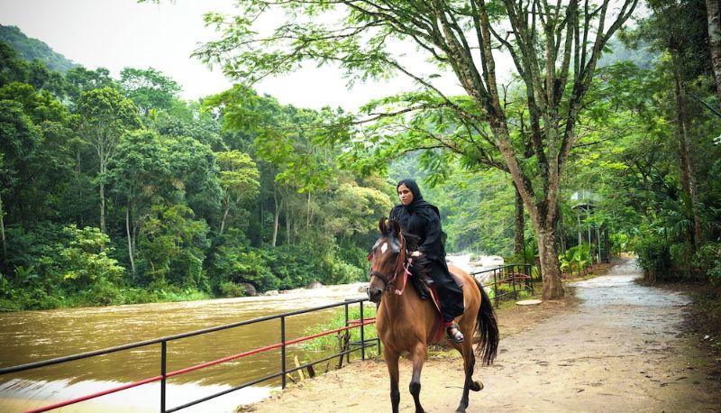 Bilgi - Blanket Riverside Resort & Spa | Luxury Resorts in Munnar Kerala