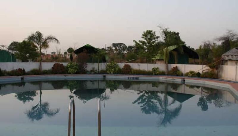 Piscina - United-21 Tiger's Habitat