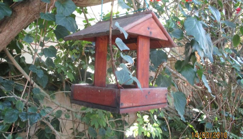 Jardin - Knysna Herons Guest House