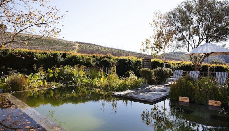 Piscina - Angala Boutique Hotel