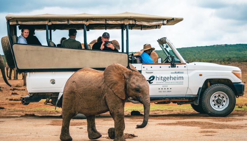 インフォメーションセンター - Hitgeheim Country Lodge & Eco Reserve