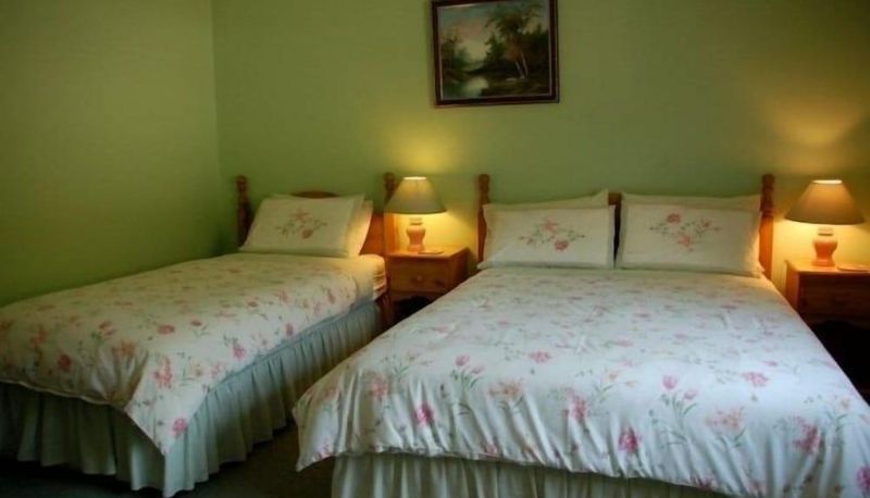 Chambre Standard - Adare House