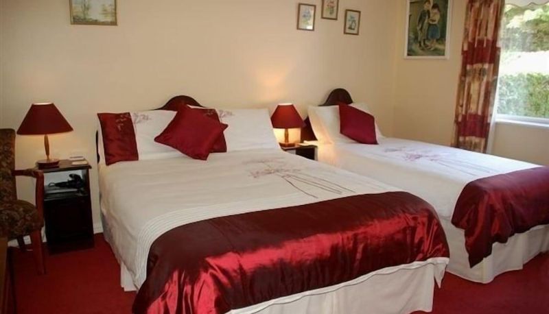 Chambre Standard - Adare House