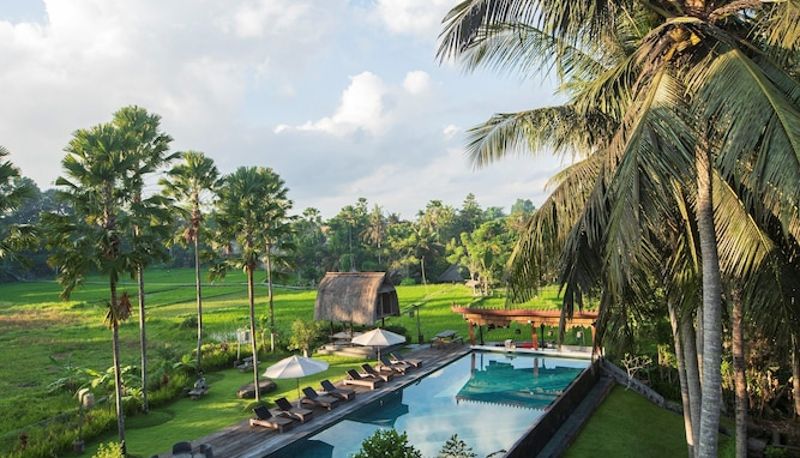 Piscina - The Artini Dijiwa Ubud