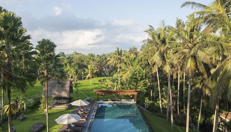 Piscina - The Artini Dijiwa Ubud
