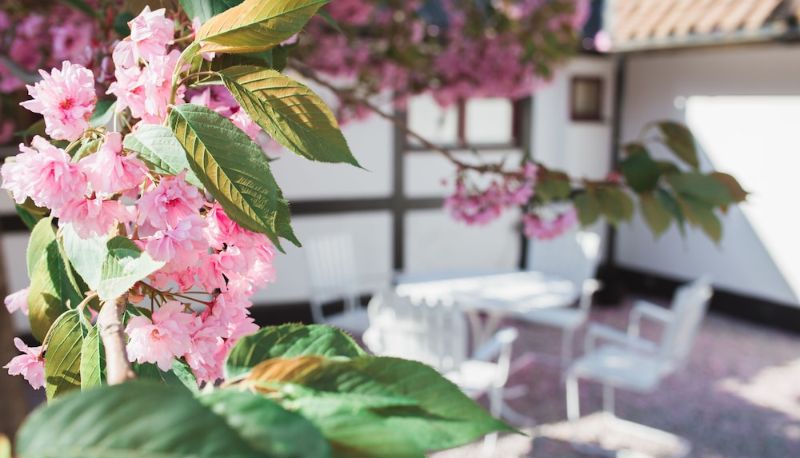 Kahvaltı odası - Landet Bed and Breakfast