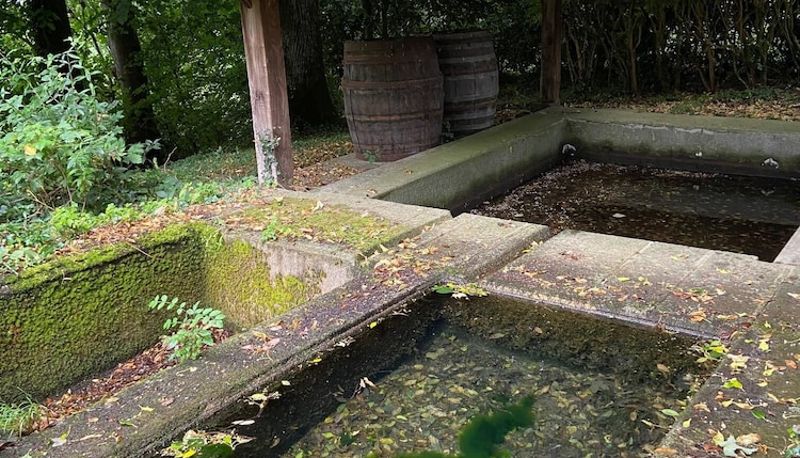 Garden - Château La Rametière
