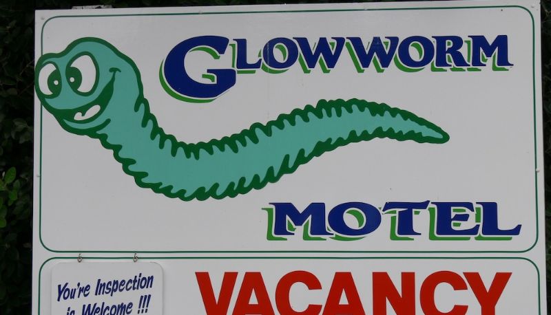 Info - Glowworm Motel