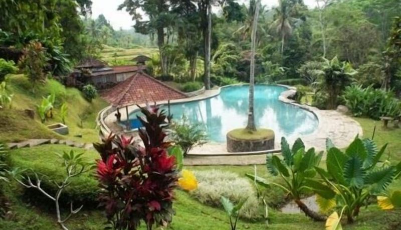 Pool - Yeh Panes Bali