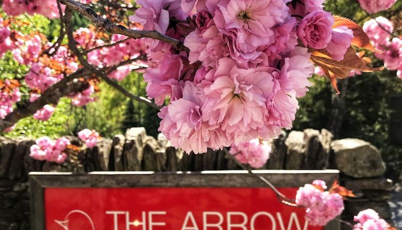 Info - The Arrow Hotel