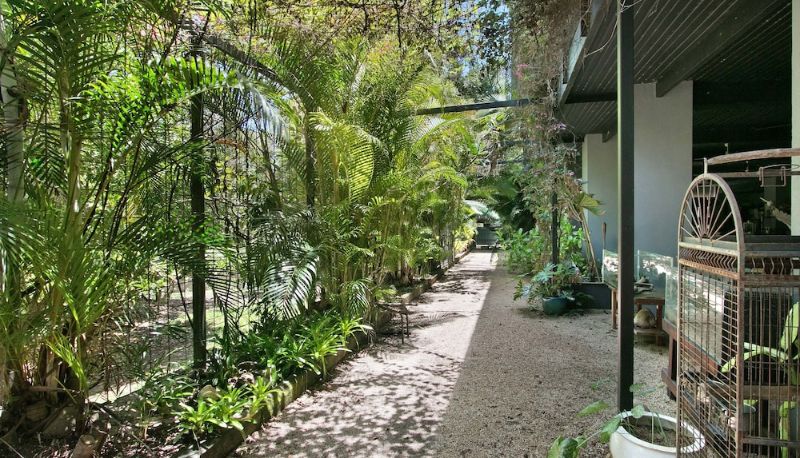 Giardino - Daintree Wild Zoo & B&B