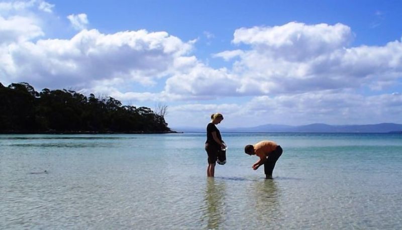 Plaj - Bruny Island Escapes and Hotel Bruny