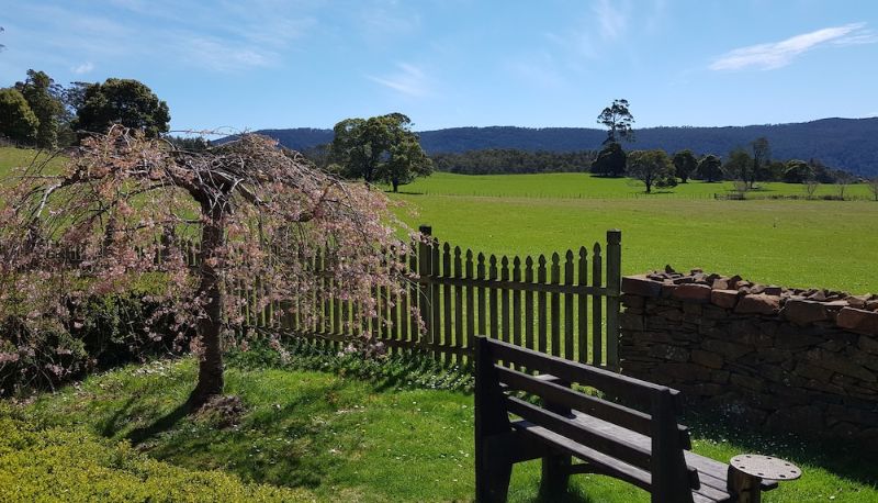 Garten - Blackwood Park Cottages