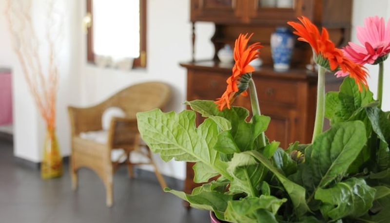Hal - La Circumetnea B&B
